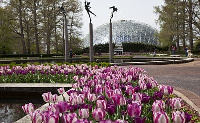 Missouri Botanical Garden