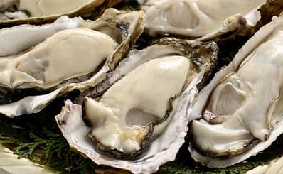 Gotsubo Oyster Bar