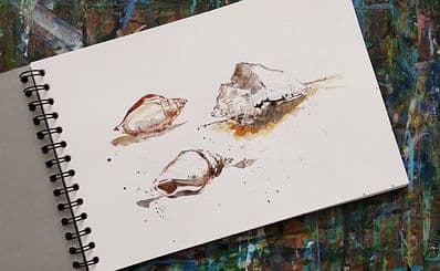 Nutmeg & Co.
