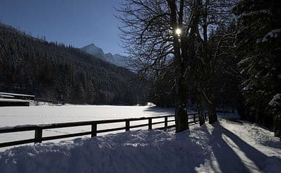 Tobogganing