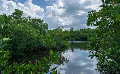Varahicacos Ecological Reserve