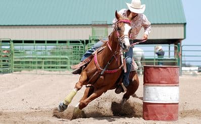 Calgary Stampede (July)