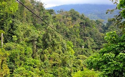 Ziplining