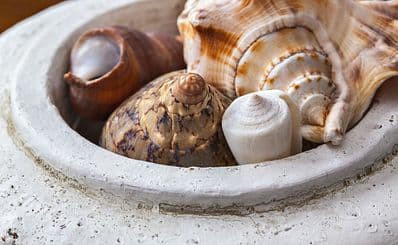 Bay Gifts of Ocean Shores