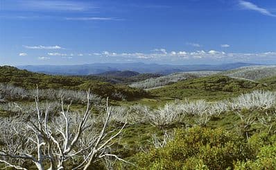 Kosciuszko National Park