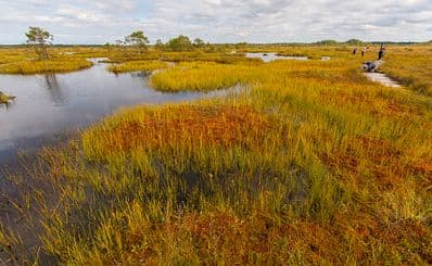Derrigimlagh Bog
