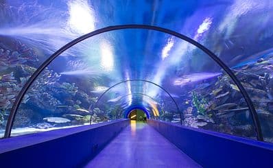 AquaRio
