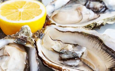Shuckers Oyster Bar & Grill