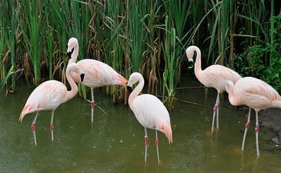 Poznan Zoo