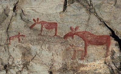 Rock Art Museum — Nämforsen Hällristningsmuseum