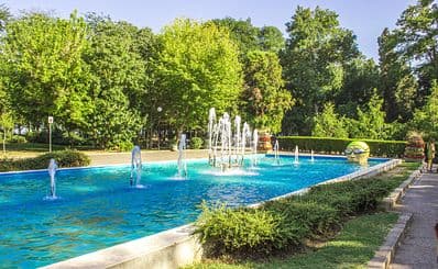 Sea Garden
