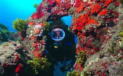 Nautical Activities