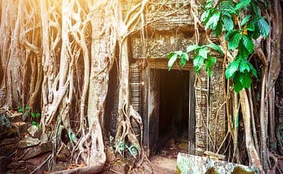 Ta Prohm