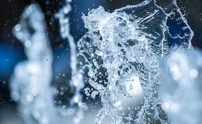 The Fountain of Life