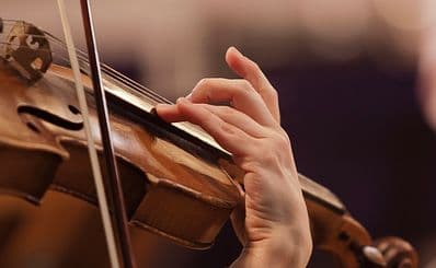 White Mountain Symphony Orchestra