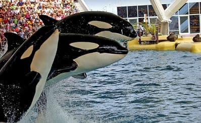 SeaWorld San Diego