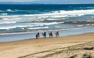 Stockton Beach