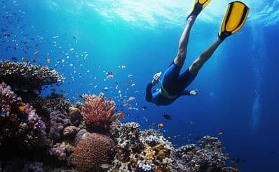 Boat Tours and Cruises