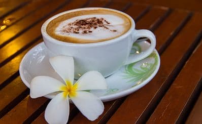 Besucherzentrum der Kauai Coffee Company