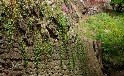 Rougemont Castle / Exeter Castle