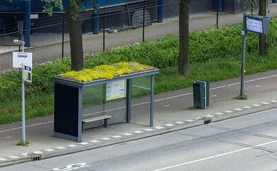 Public Transport