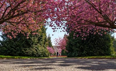 Best Time to Visit
