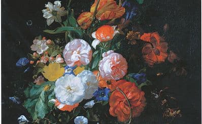 Museo de Bellas Artes de Murcia