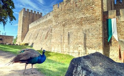 São Jorge Castle