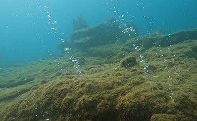 Champagne Reef