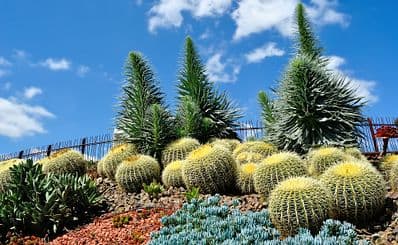Royal Botanic Gardens Victoria