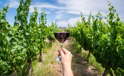Toplou Monastery Winery