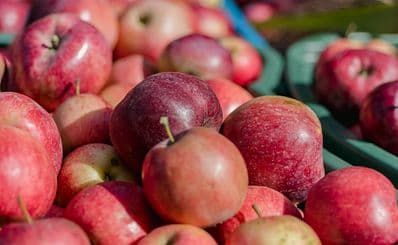 The Apple Thief Cider House