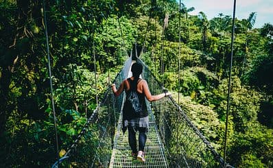 Hanging Bridges and Waterfalls in the Rainforest