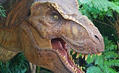 Musée des Dinosaures