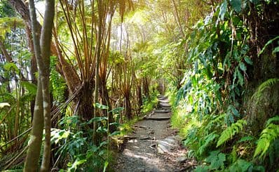 Kilauea Iki Trail