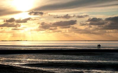 Hamburg Wadden Sea