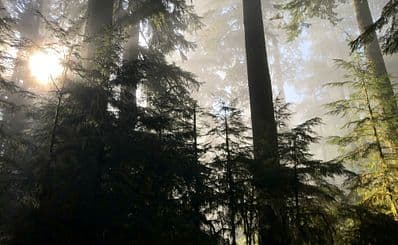 Best Time to Visit