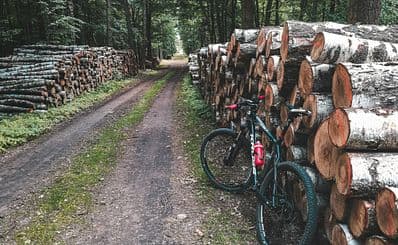 Sierra Nevada Logging Museum
