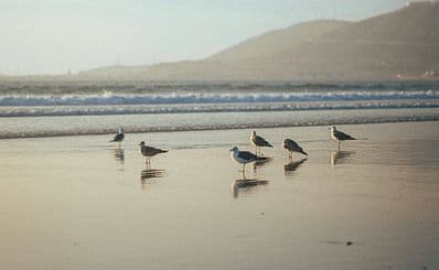 Best Time to Visit Agadir