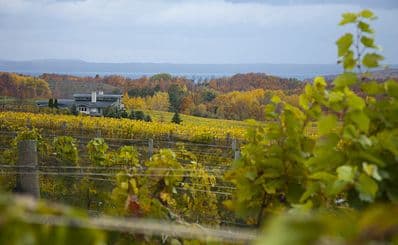 Grand Traverse Tours