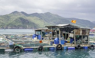Fishing Village