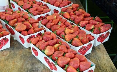 Tanaka Farms Strawberry Tours
