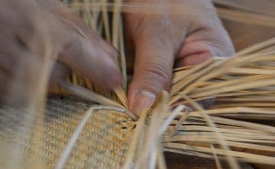 Tjanpi Desert Weavers