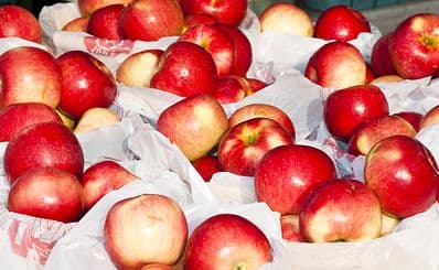 Mill City Farmers Market