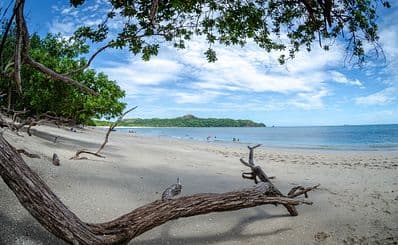 Conchal Beach