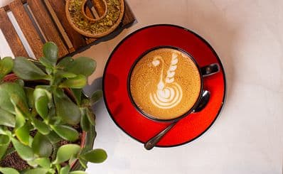 Elixir Bunn Coffee Roasters