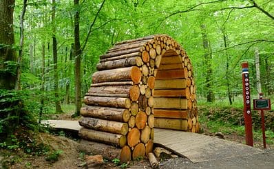 Camp Adventure