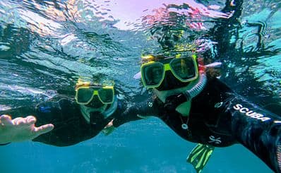 Downbelow Marine & Wildlife Adventures