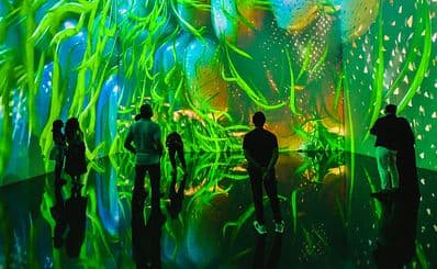 TODA - Theatre of Digital Art