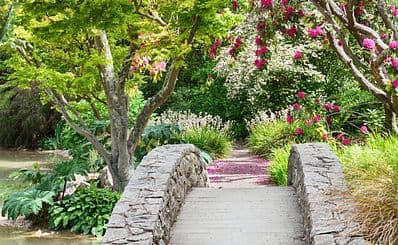 Christchurch Botanic Gardens